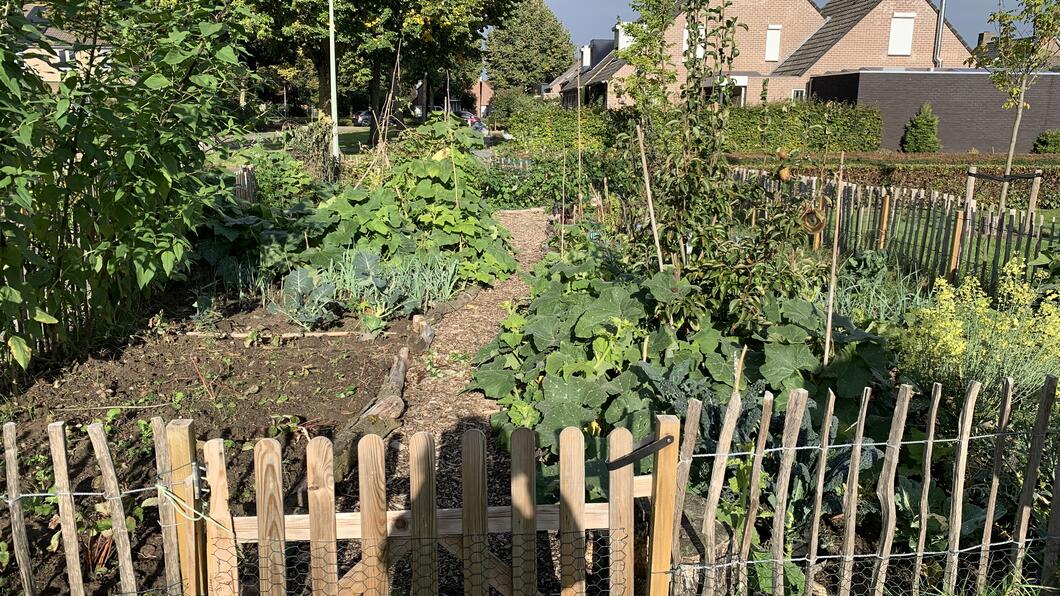 moestuin buurt Toren