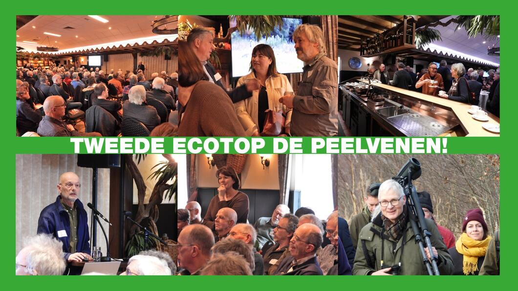 ecotop