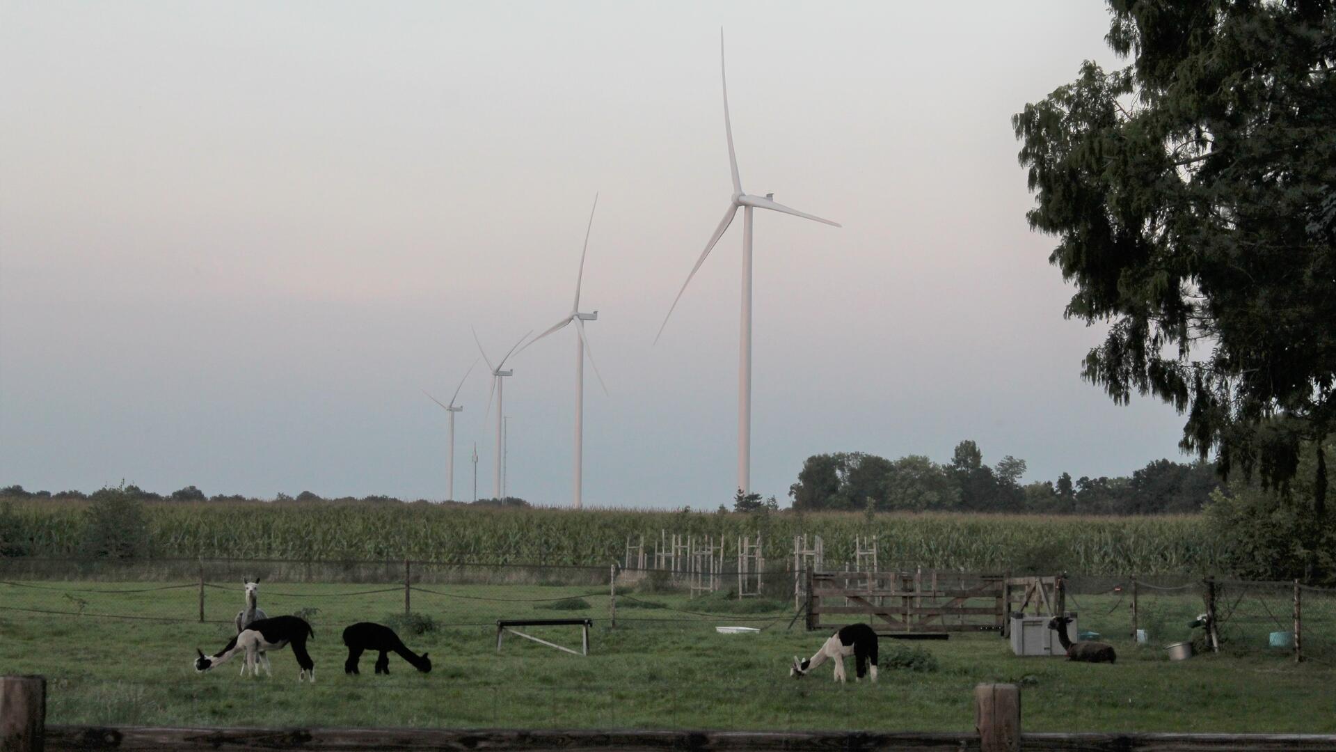 windpark ospeldijk