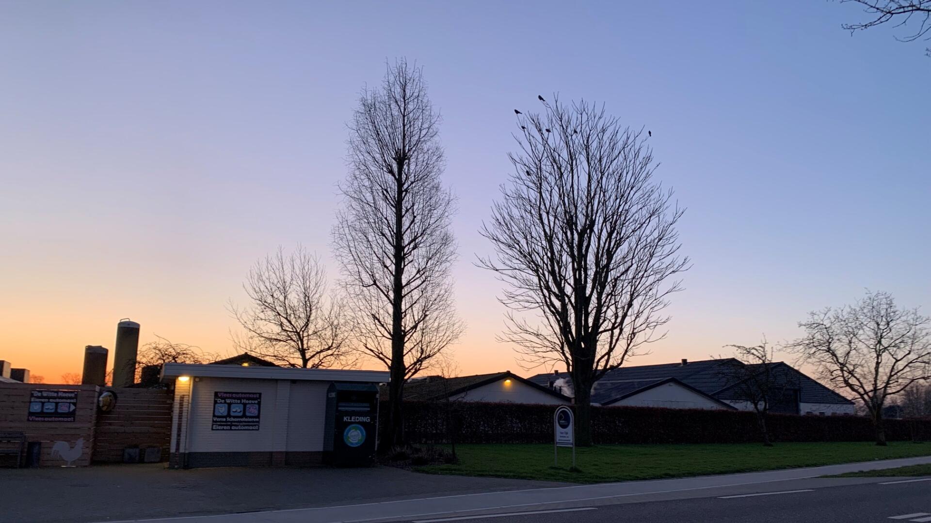 de witte hoeve
